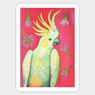 Cockatoo and gum blossoms Sticker